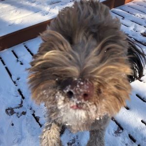 Meet your Posher, Hunter